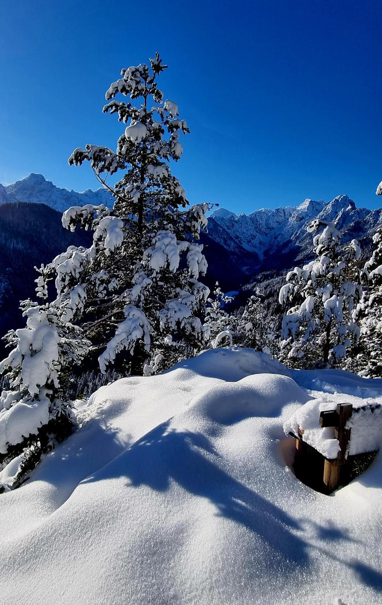 Holiday Chalet "Alpine Dreams" With Private Wellness Solcava Bagian luar foto