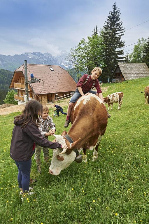 Holiday Chalet "Alpine Dreams" With Private Wellness Solcava Ruang foto