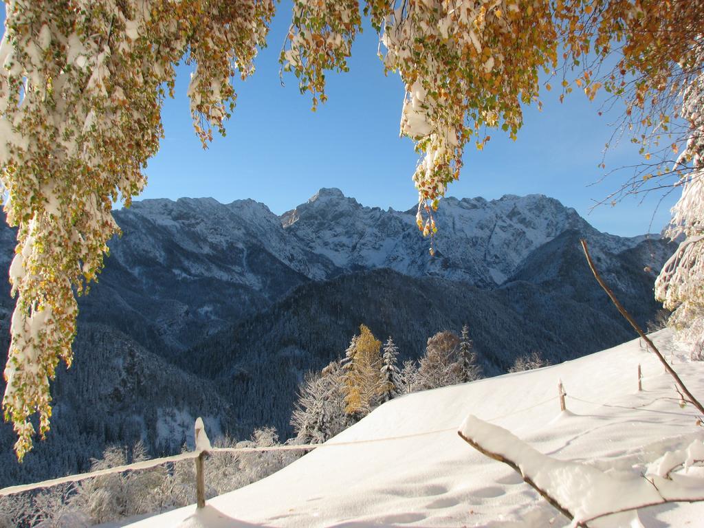 Holiday Chalet "Alpine Dreams" With Private Wellness Solcava Bagian luar foto
