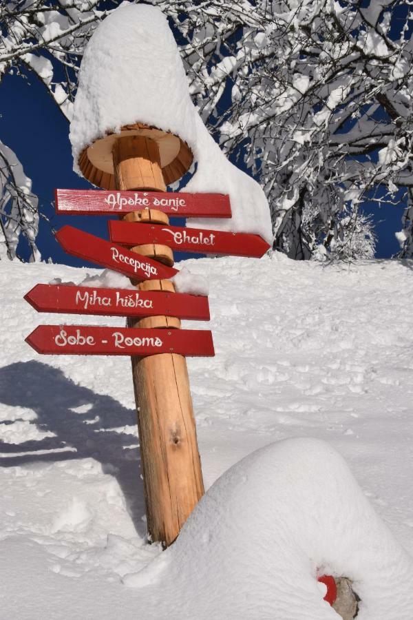 Holiday Chalet "Alpine Dreams" With Private Wellness Solcava Bagian luar foto