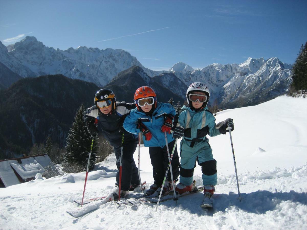 Holiday Chalet "Alpine Dreams" With Private Wellness Solcava Bagian luar foto